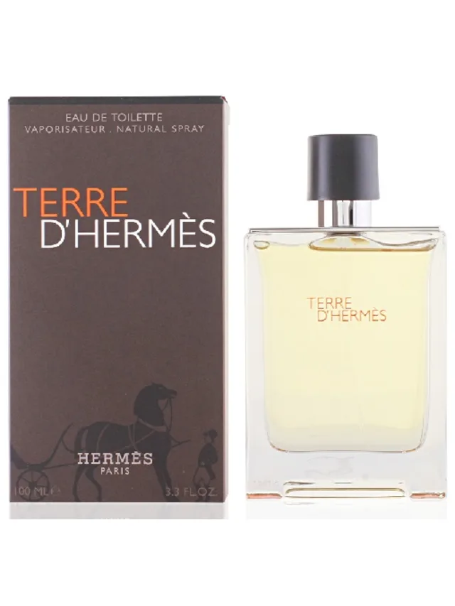 Frasco perfume Terre D EDT 100ml
